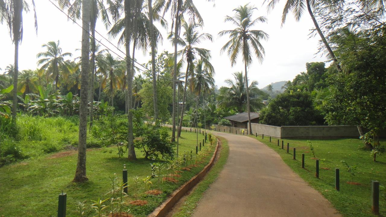 Ma Oya Retreat Pinnawala Pinnawala (Kegalle) Exterior foto