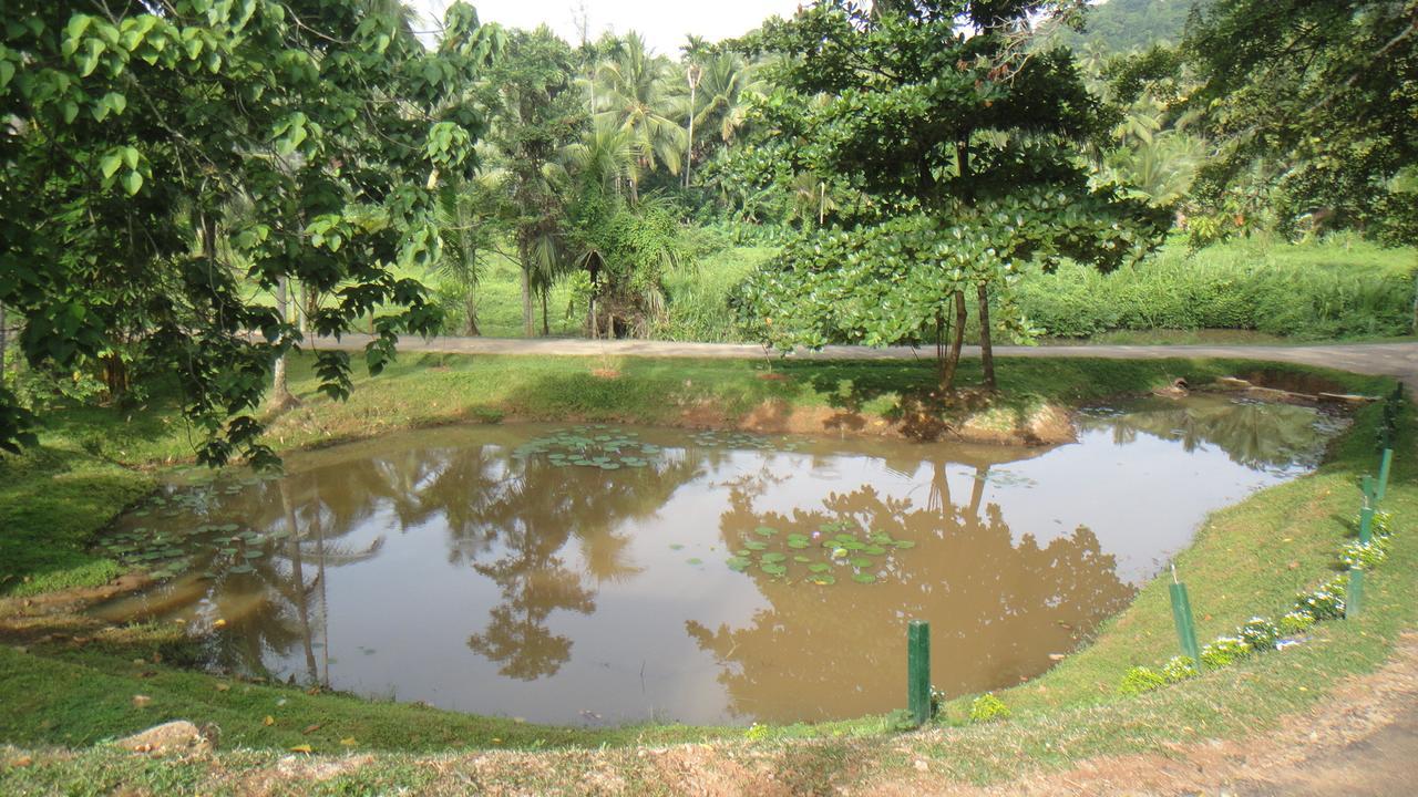 Ma Oya Retreat Pinnawala Pinnawala (Kegalle) Exterior foto
